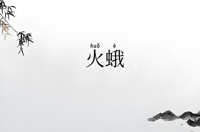 火蛾