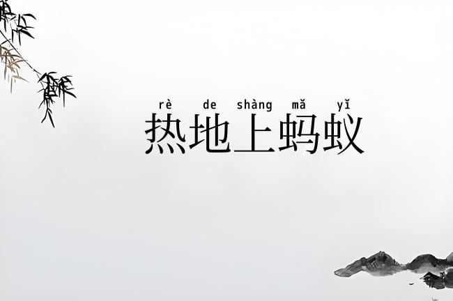 热地上蚂蚁