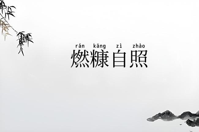 燃糠自照
