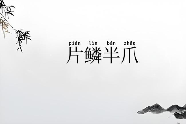 片鳞半爪