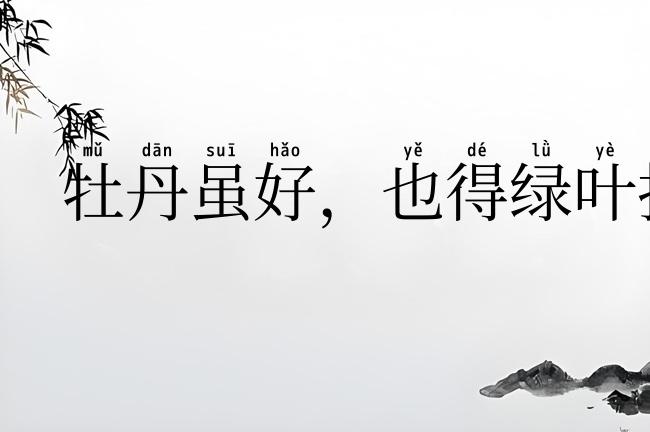 牡丹虽好,也得绿叶扶持
