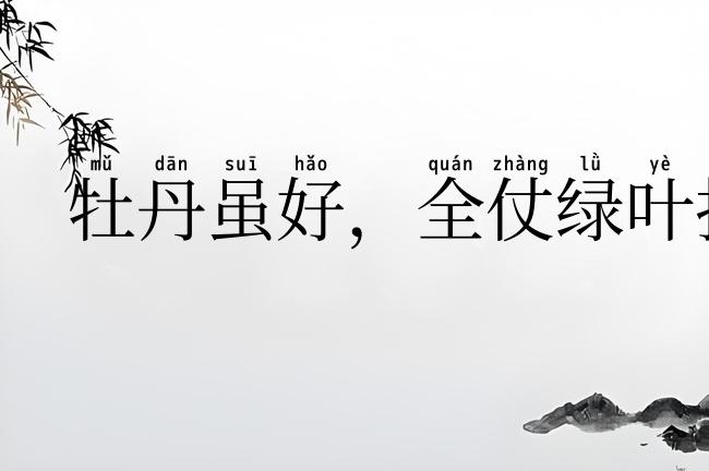 牡丹虽好，全仗绿叶扶持