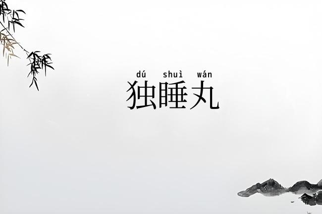 独睡丸