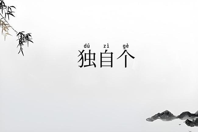 独自个
