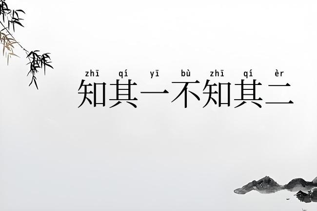 知其一不知其二