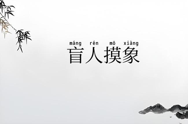 盲人摸象