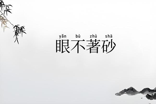 眼不著砂