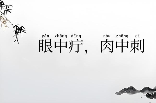 眼中疔，肉中刺