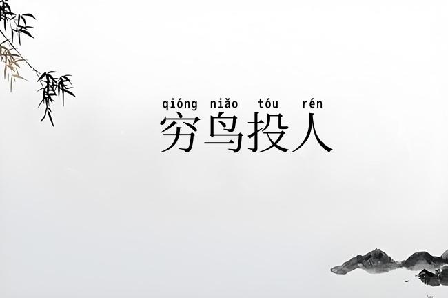 穷鸟投人
