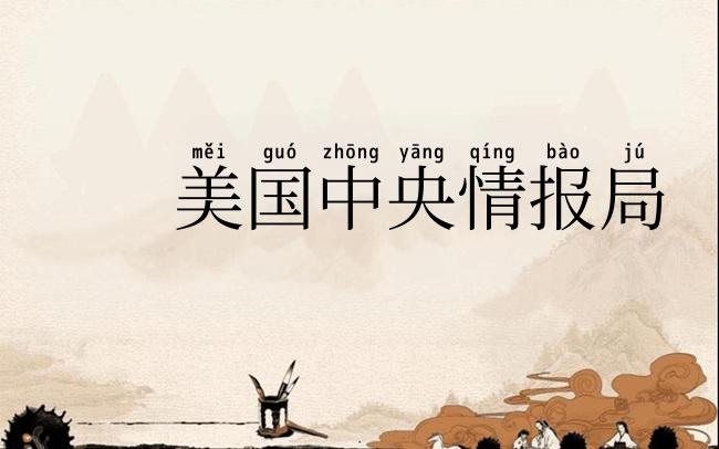 美国中央情报局