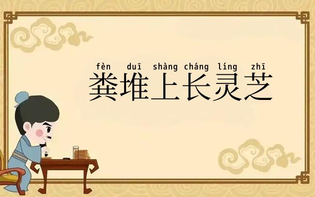 粪堆上长灵芝