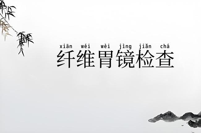 纤维胃镜检查