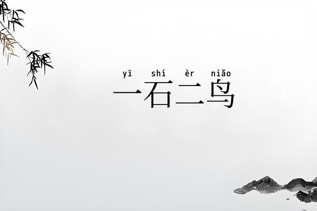 一石二鸟