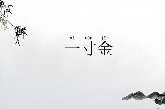 一寸金