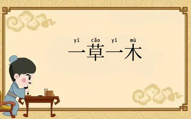 一草一木