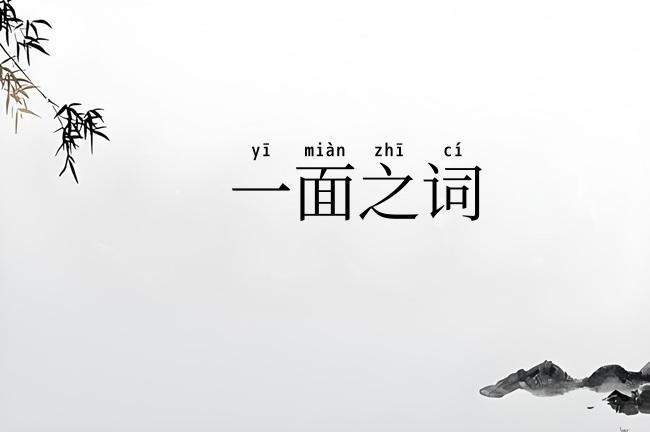 一面之词