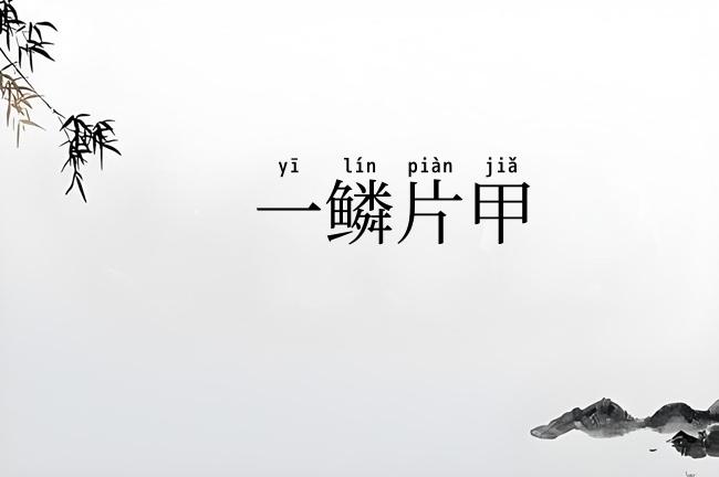 一鳞片甲