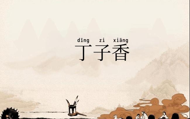 丁子香