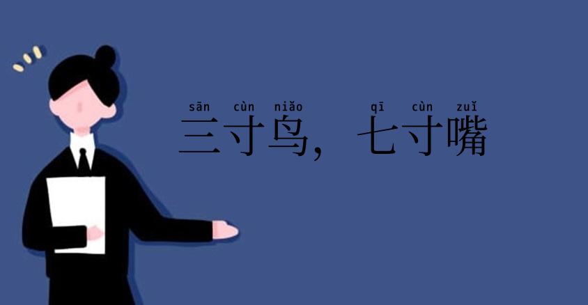 三寸鸟，七寸嘴