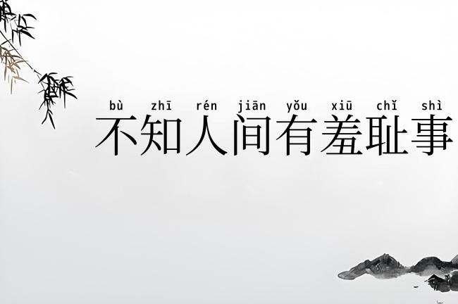 不知人间有羞耻事