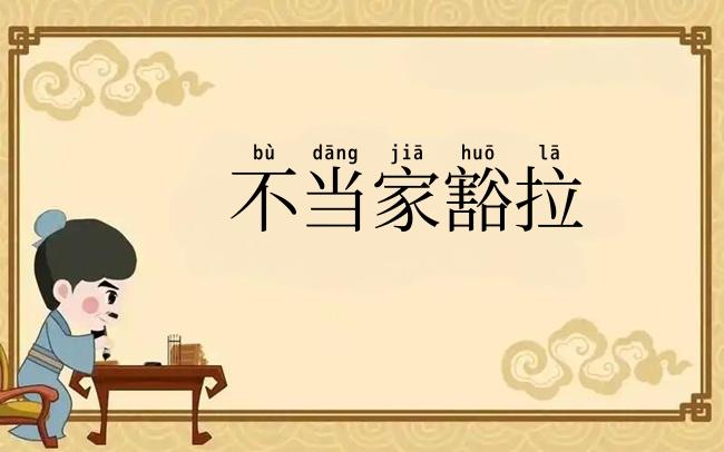 不当家豁拉