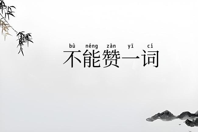 不能赞一词