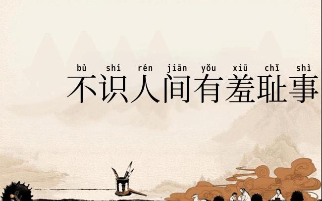 不识人间有羞耻事