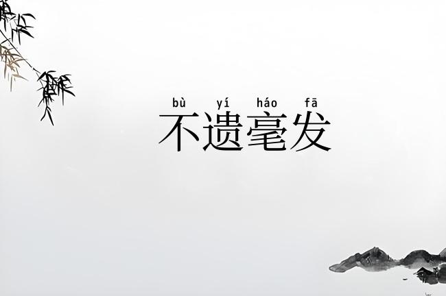 不遗毫发