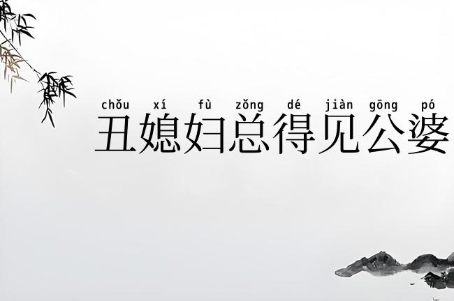 丑媳妇总得见公婆