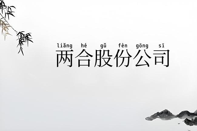 两合股份公司