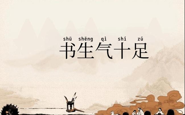 书生气十足