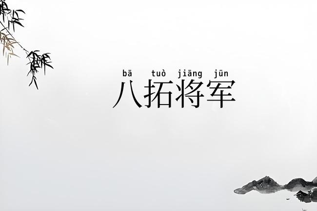 八拓将军