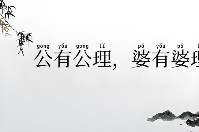 公有公理，婆有婆理