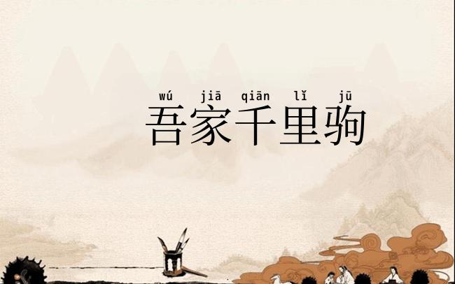 吾家千里驹