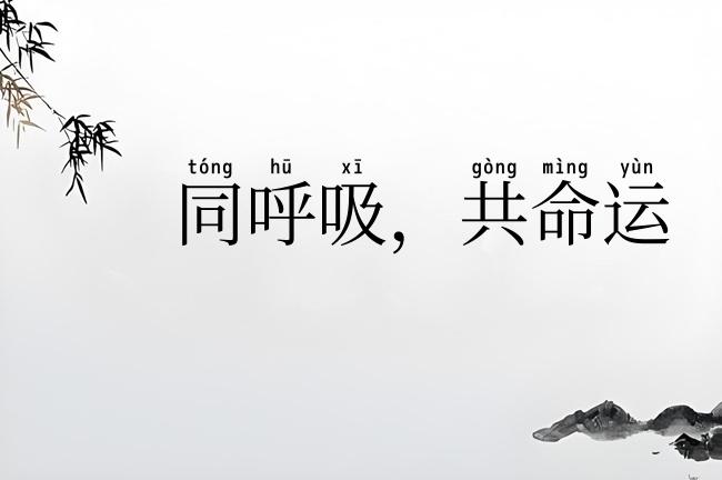 同呼吸，共命运