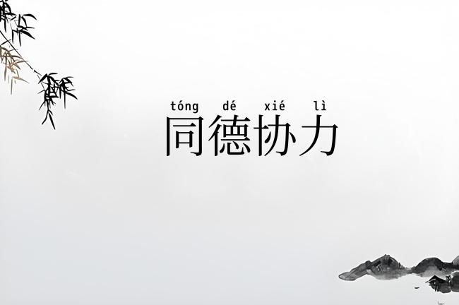 同德协力