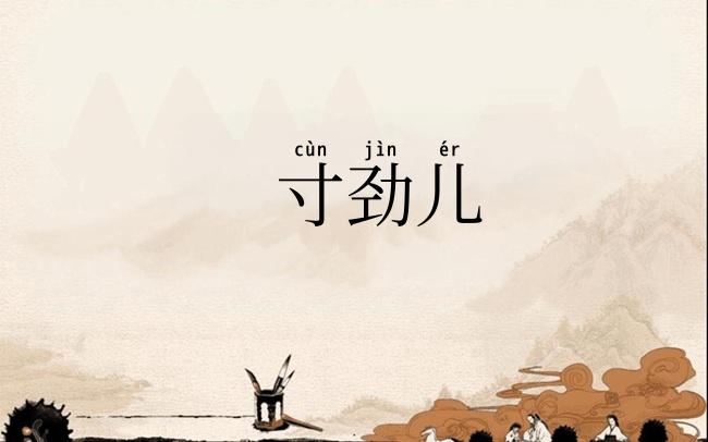 寸劲儿