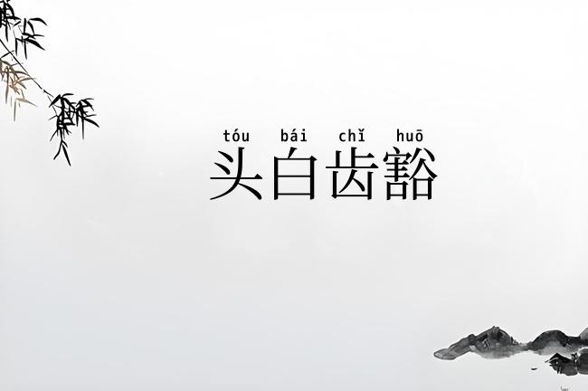 头白齿豁