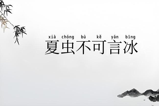 夏虫不可言冰
