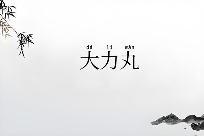 大力丸