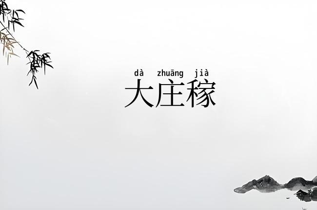 大庄稼