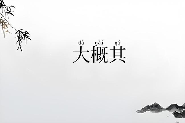 大概其