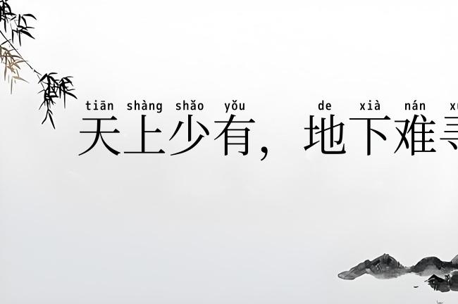 天上少有，地下难寻