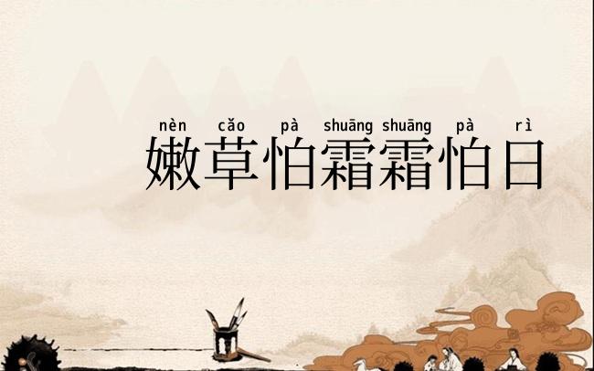 嫩草怕霜霜怕日