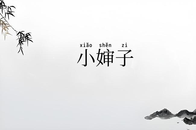 小婶子