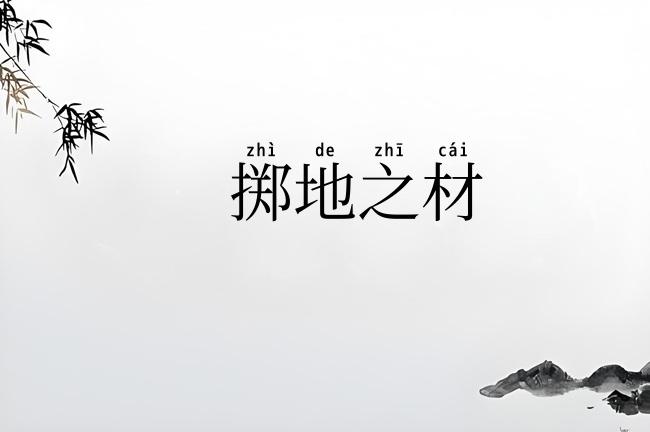 掷地之材