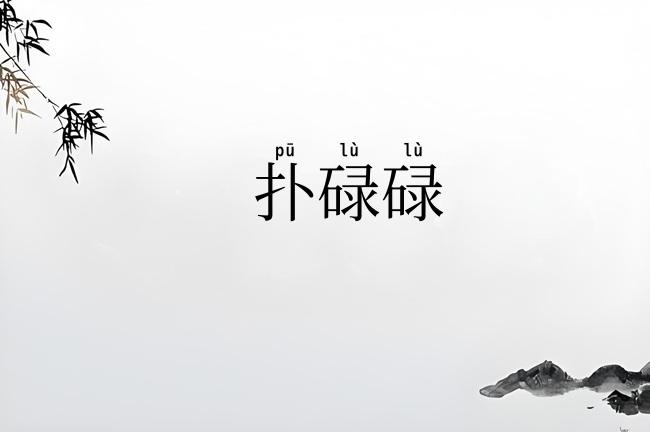扑碌碌