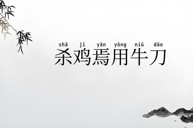 杀鸡焉用牛刀