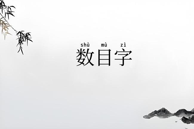 数目字