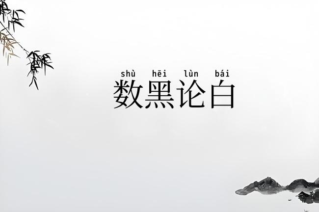 数黑论白